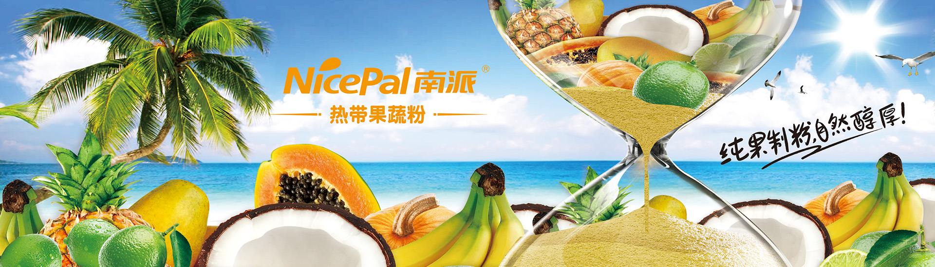 热带果蔬粉 热带果蔬粉